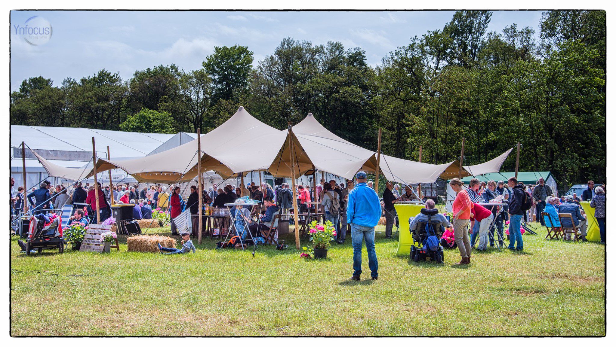 62262396_2235219483199736_2926732346335952896_n